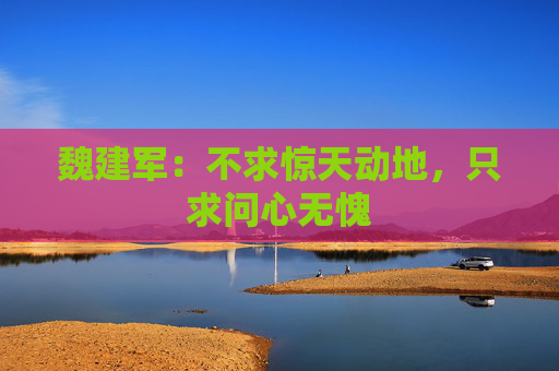 魏建军：不求惊天动地，只求问心无愧