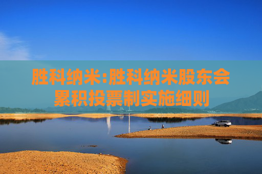 胜科纳米:胜科纳米股东会累积投票制实施细则