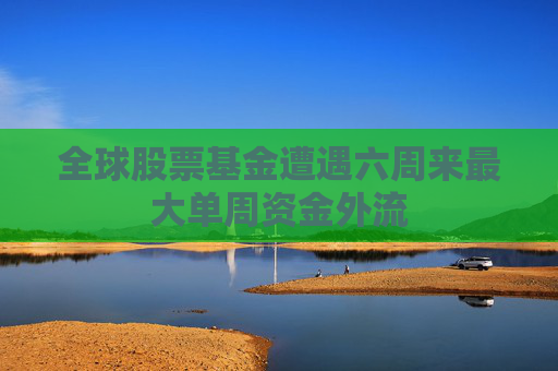 全球股票基金遭遇六周来最大单周资金外流  第1张