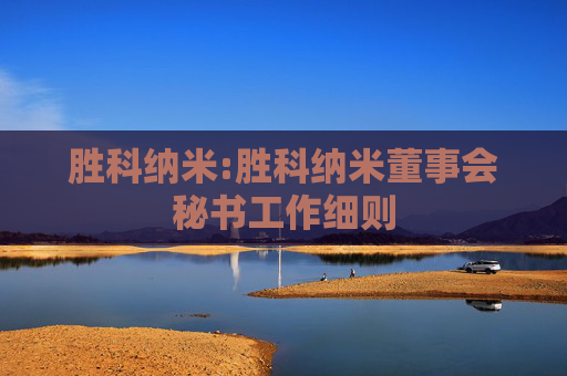 胜科纳米:胜科纳米董事会秘书工作细则