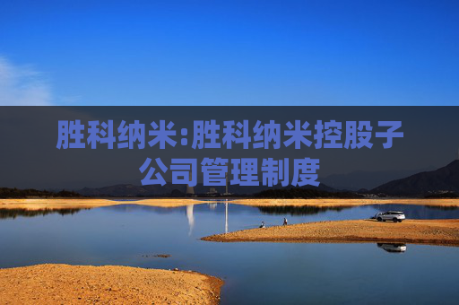 胜科纳米:胜科纳米控股子公司管理制度