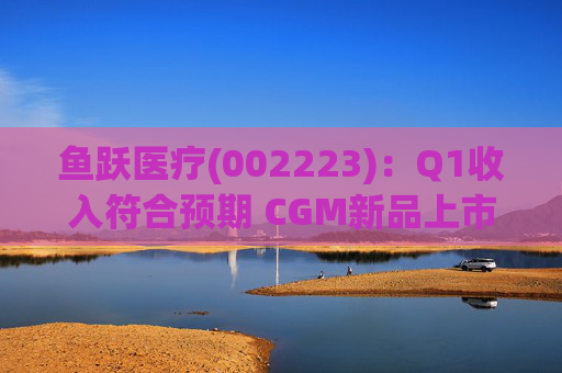 鱼跃医疗(002223)：Q1收入符合预期 CGM新品上市丰富增长动能