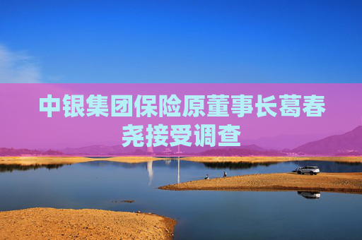 中银集团保险原董事长葛春尧接受调查
