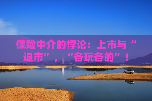 保险中介的悖论：上市与“退市”，“各玩各的”！  第1张