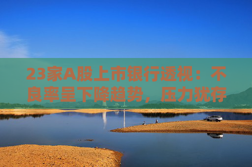 23家A股上市银行透视：不良率呈下降趋势，压力犹存｜年报观察