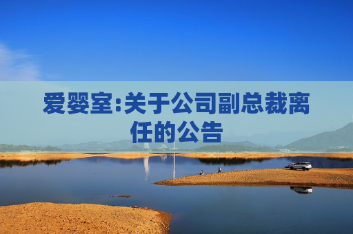 爱婴室:关于公司副总裁离任的公告  第1张