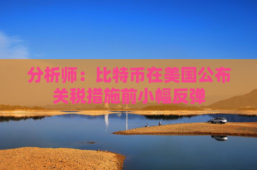 分析师：比特币在美国公布关税措施前小幅反弹