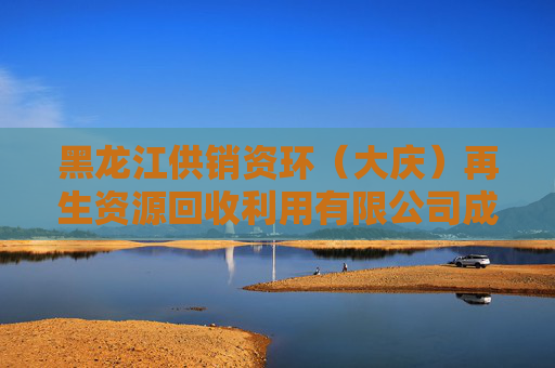 黑龙江供销资环（大庆）再生资源回收利用有限公司成立 注册资本2300万人民币