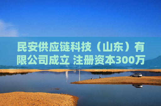 民安供应链科技（山东）有限公司成立 注册资本300万人民币