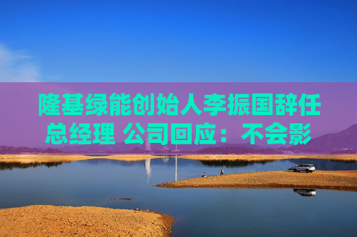 隆基绿能创始人李振国辞任总经理 公司回应：不会影响日常经营