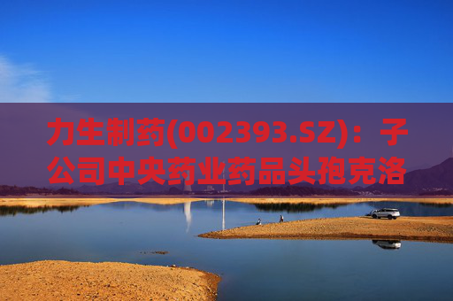 力生制药(002393.SZ)：子公司中央药业药品头孢克洛缓释片通过仿制药一致性评价