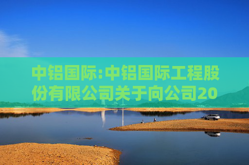 中铝国际:中铝国际工程股份有限公司关于向公司2023年限制性股票激励计划激励对象授予预留限制性股票的公告