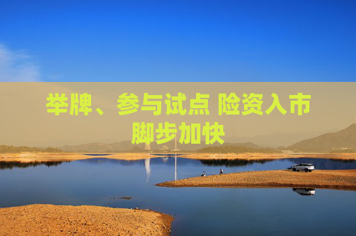 举牌、参与试点 险资入市脚步加快