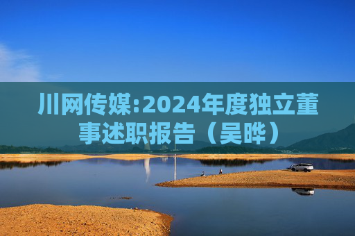 川网传媒:2024年度独立董事述职报告（吴晔）