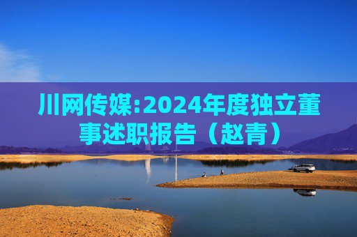 川网传媒:2024年度独立董事述职报告（赵青）