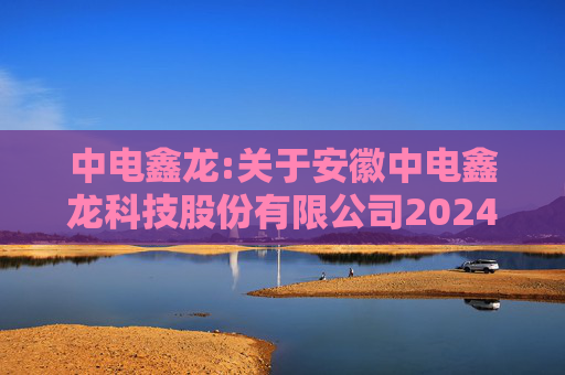 中电鑫龙:关于安徽中电鑫龙科技股份有限公司2024年度股东会的法律意见  第1张