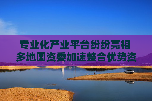 专业化产业平台纷纷亮相 多地国资委加速整合优势资源