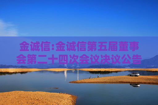 金诚信:金诚信第五届董事会第二十四次会议决议公告