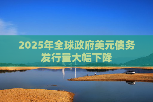 2025年全球政府美元债务发行量大幅下降  第1张