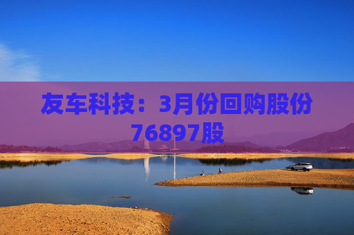友车科技：3月份回购股份76897股