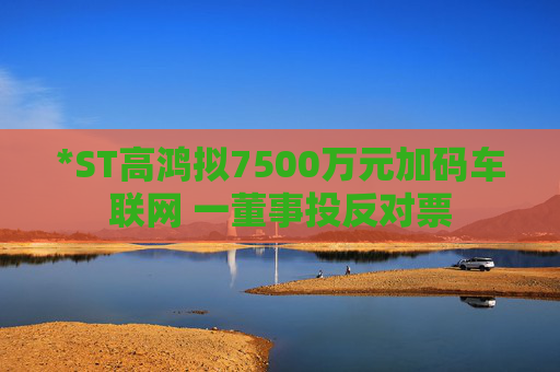 *ST高鸿拟7500万元加码车联网 一董事投反对票
