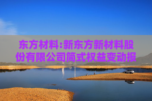 东方材料:新东方新材料股份有限公司简式权益变动报告书（江苏特丽亮新材料科技有限公司）