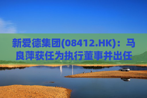 新爱德集团(08412.HK)：马良萍获任为执行董事并出任主席