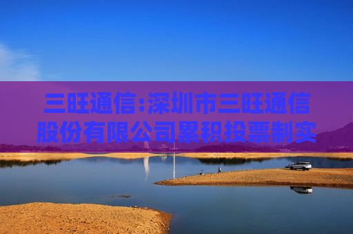 三旺通信:深圳市三旺通信股份有限公司累积投票制实施细则（2025年5月修订）
