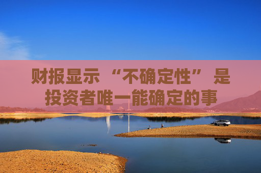 财报显示 “不确定性” 是投资者唯一能确定的事