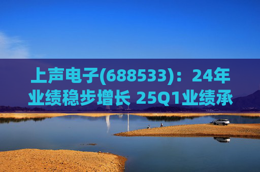 上声电子(688533)：24年业绩稳步增长 25Q1业绩承压