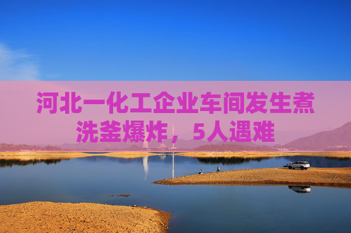 河北一化工企业车间发生煮洗釜爆炸，5人遇难