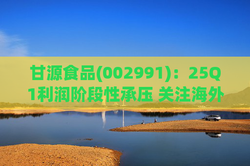 甘源食品(002991)：25Q1利润阶段性承压 关注海外市场突破  第1张