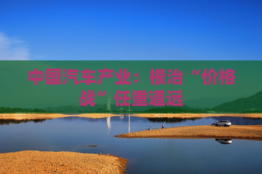 中国汽车产业：根治“价格战”任重道远