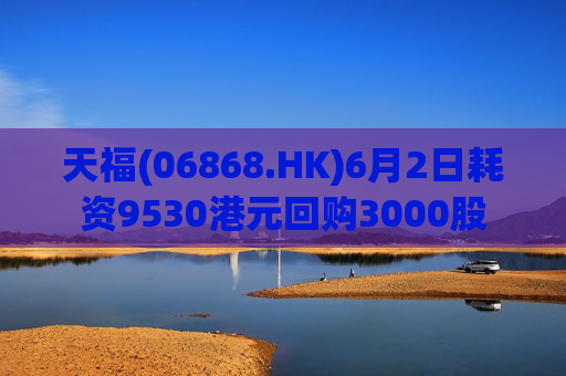 天福(06868.HK)6月2日耗资9530港元回购3000股  第1张