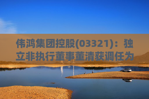 伟鸿集团控股(03321)：独立非执行董事董清获调任为审核委员会及薪酬委员会各自的主席