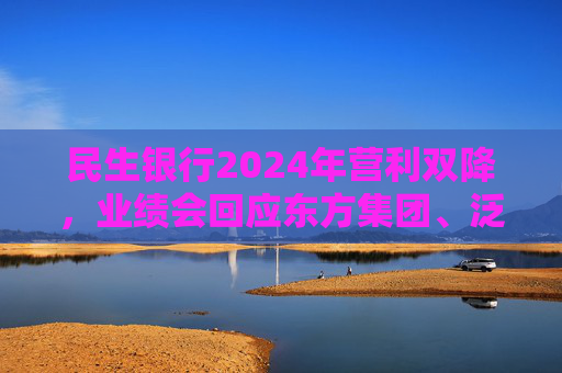 民生银行2024年营利双降，业绩会回应东方集团、泛海系等贷款情况  第1张