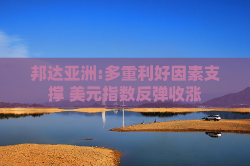邦达亚洲:多重利好因素支撑 美元指数反弹收涨