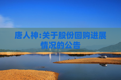 唐人神:关于股份回购进展情况的公告