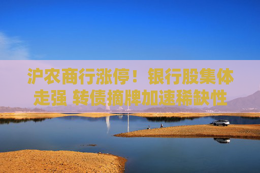 沪农商行涨停！银行股集体走强 转债摘牌加速稀缺性凸显