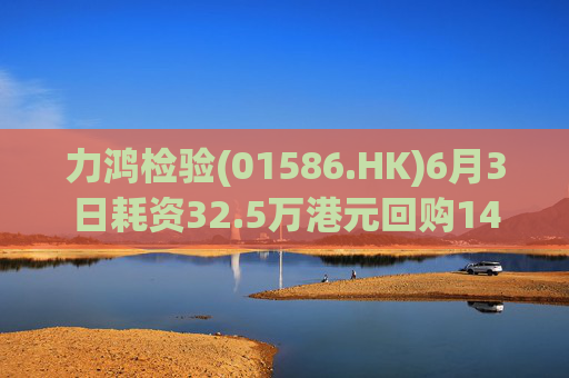 力鸿检验(01586.HK)6月3日耗资32.5万港元回购14.4万股