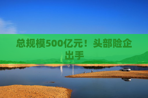 总规模500亿元！头部险企出手
