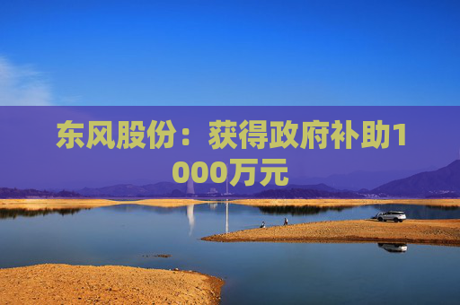 东风股份：获得政府补助1000万元