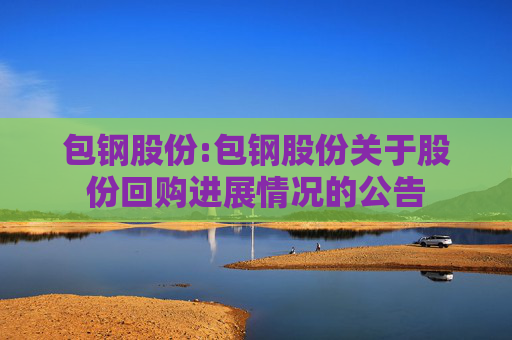 包钢股份:包钢股份关于股份回购进展情况的公告