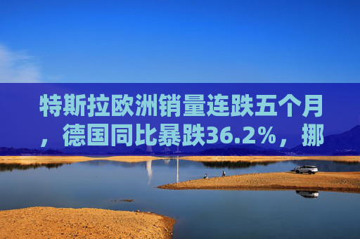特斯拉欧洲销量连跌五个月，德国同比暴跌36.2%，挪威市场成亮点
