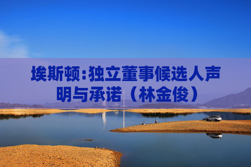 埃斯顿:独立董事候选人声明与承诺（林金俊）