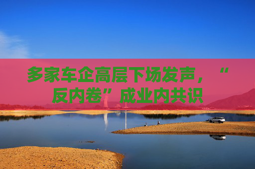 多家车企高层下场发声，“反内卷”成业内共识