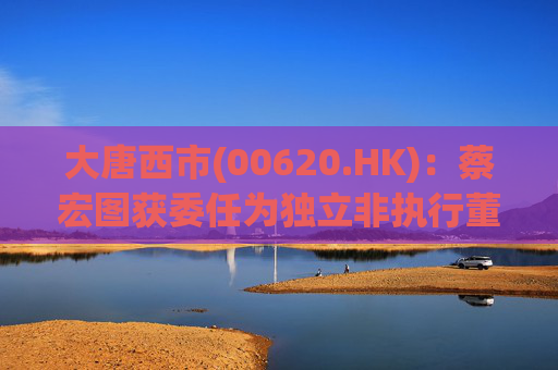 大唐西市(00620.HK)：蔡宏图获委任为独立非执行董事