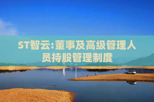 ST智云:董事及高级管理人员持股管理制度