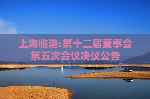 上海临港:第十二届董事会第五次会议决议公告