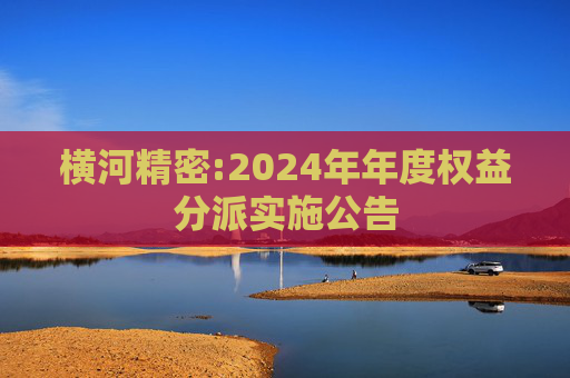 横河精密:2024年年度权益分派实施公告  第1张